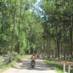 rutas-en-moto.es