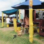 6to. encuentro Harley Davidson Punta del Diablo, 1024