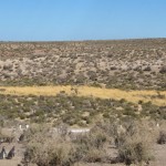 rutas-en-moto.es
