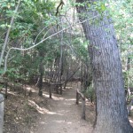 rutas-en-moto.es