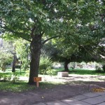 rutas-en-moto.com