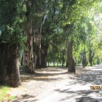 rutas-en-moto.es