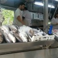 Puesto de pescado, Montevideo