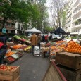 10 cosas de Montevideo que me sorprenden. Montevideo es una ciudad encantadora, con personalidad propia, en evolución, con contrastes que van llevando del pasado al presente y que invita a la reflexión. Viviendo el día a día de la ciudad encuentro una serie de cosas que no dejan de sorprenderme.