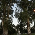 Plaza de San Martin, Venado Tuerto