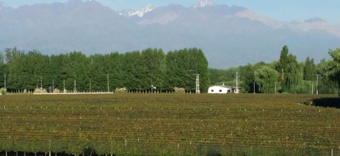 Valle del Uco Hemos pasado dos días en el Valle del Uco, un paisaje excepcional, rodar con la moto entre grandes extensiones de viñedos a los dos lados y con […]